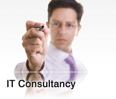 IT Consultancy